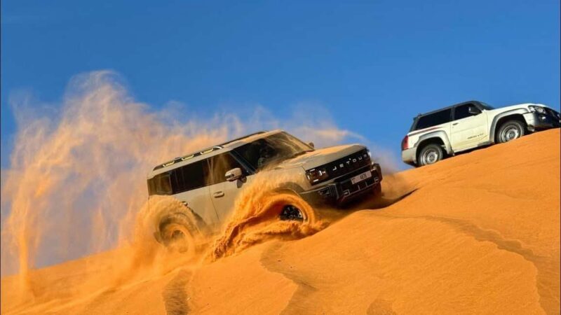 Doha Safari- Quadbike, Camel Ride, Sandboarding & Inland Sea - Who Should Consider This Tour?