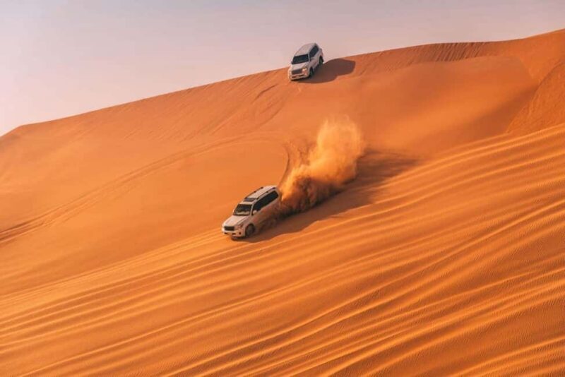 Doha Safari Quadbike, CamelRide, Sandboarding & Inland Sea - Final Thoughts