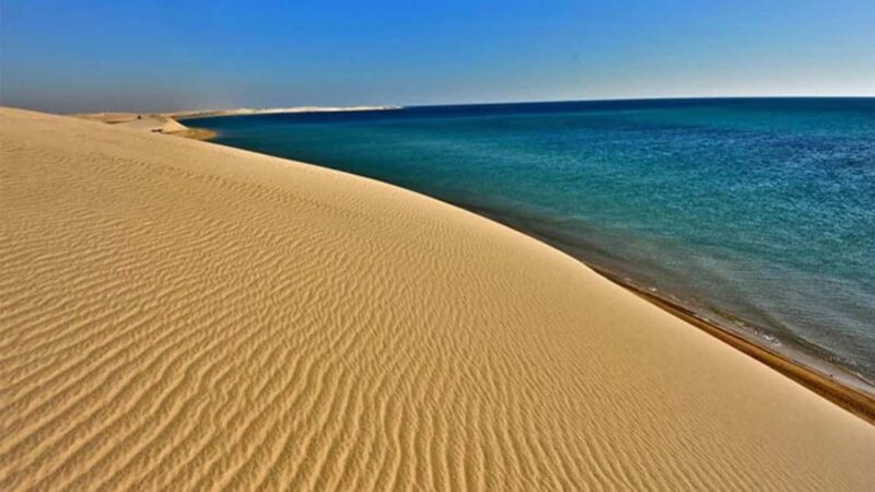Doha Safari Quadbike, CamelRide, Sandboarding & Inland Sea - Frequently Asked Questions