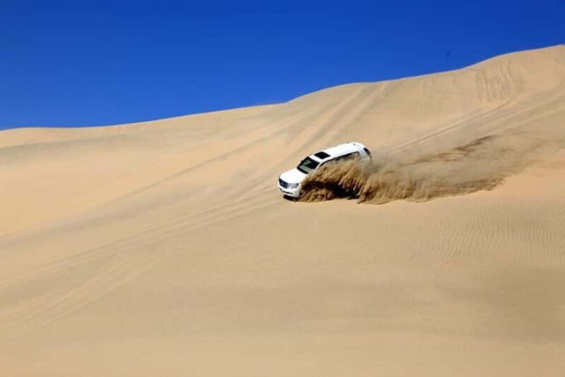 Doha Safari with Camel Ride, Inland Sea & Hotel Transfer - Who Will Love This Tour?