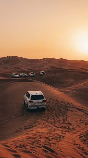 Doha: Shared Desert Safari, Dune Bashing, Sandboarding - Key Points