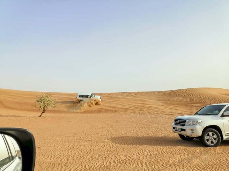 Doha: Shared Desert Safari, Sandboarding, Camel Ride - Key Points