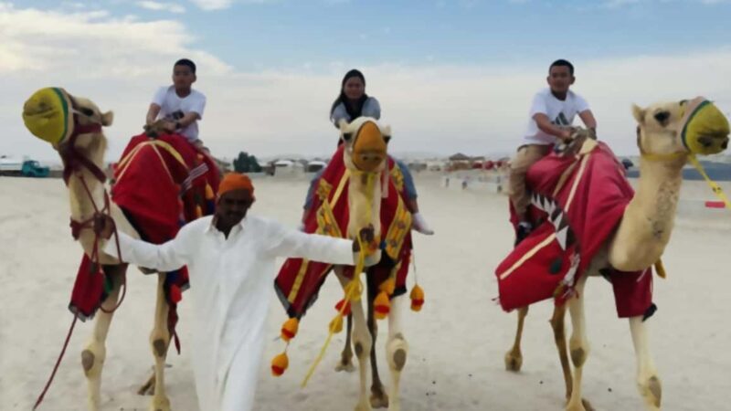 Doha Shore Excursion: Full-Day Desert Safari-Doha City Tour - Exploring Doha’s Cultural and Architectural Gems