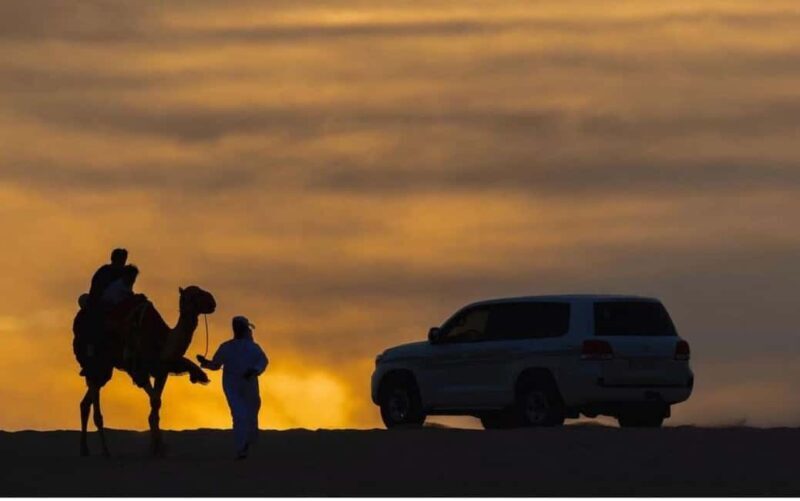 Doha: Stargazing Desert Safari w/ Dune Bashing & Camel Ride - Who Would Love This Tour?
