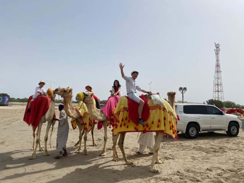 Doha: SUNRISE at the Desert meet the sea with a Camel ride - Key Points
