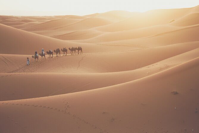Doha Sunrise Desert Safari Tour| Dune Bashing| Inland Sea visit| Camel Riding - The Route and What to Expect