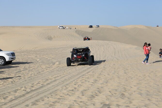 Doha; Sunrise Desert Tour and camel safari 4hrs - The Itinerary Breakdown: From Beach to Desert Bliss