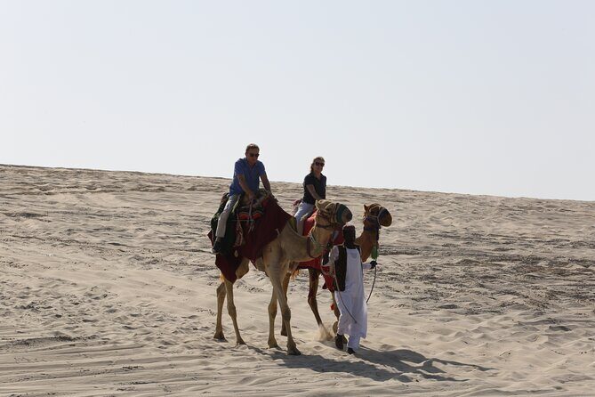 Doha; Sunrise Desert Tour and camel safari 4hrs - Why This Tour Is Worth Considering