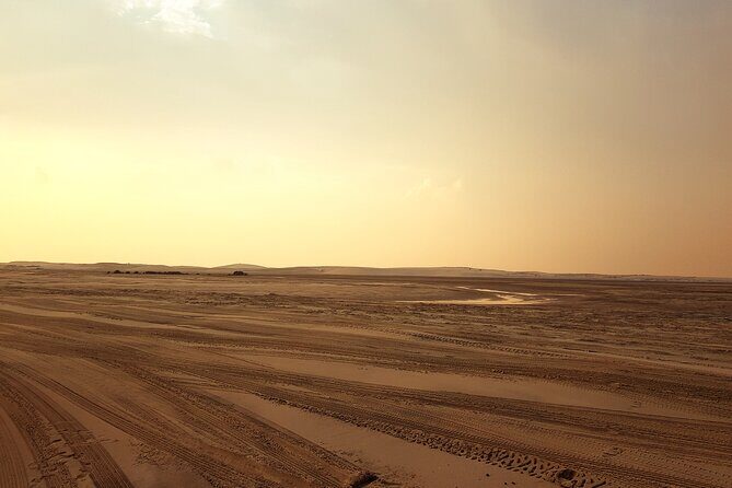 Doha: Sunrise /Sunset Desert Safari with Sand Boarding,Camel ride - The Sum Up