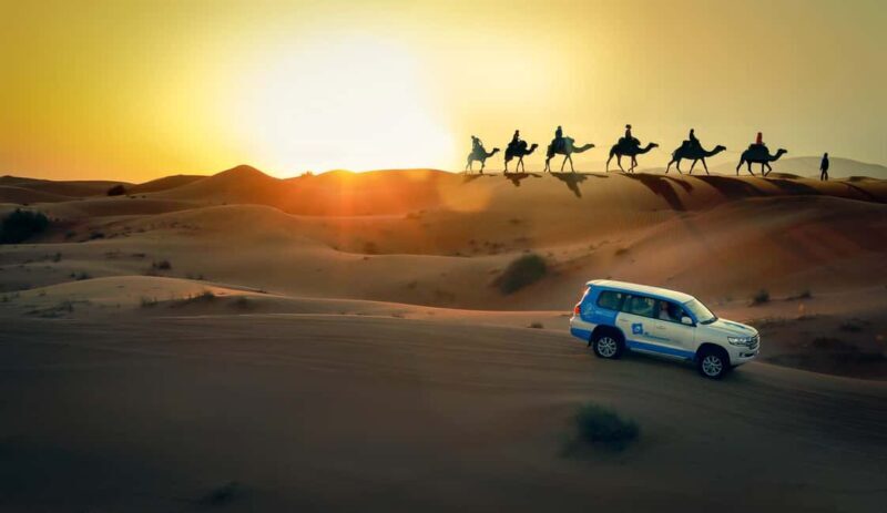 Doha: Sunset Desert Safari, ATV, Camel Ride and Sandboarding - An Authentic, Well-Rounded Desert Experience