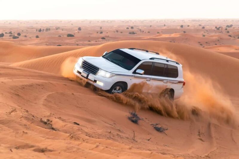 Doha Sunset or Sunrise Desert Safari, Camel Ride, Inland Sea - Introduction
