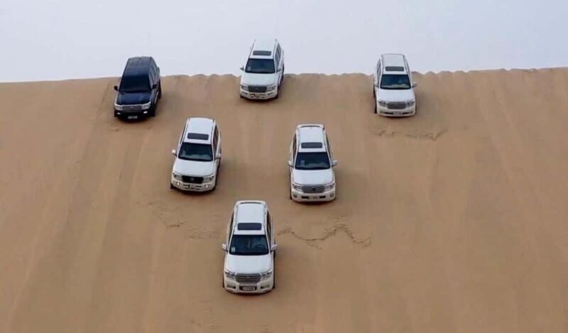 Doha : Sunshine Or Sunset Desert Safari With Sand Boarding - What to Expect from the Desert Safari Experience