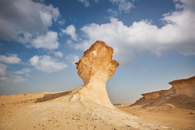 Doha : West Coast Tour on Zekreet Peninsula - Practical Details and Highlights  