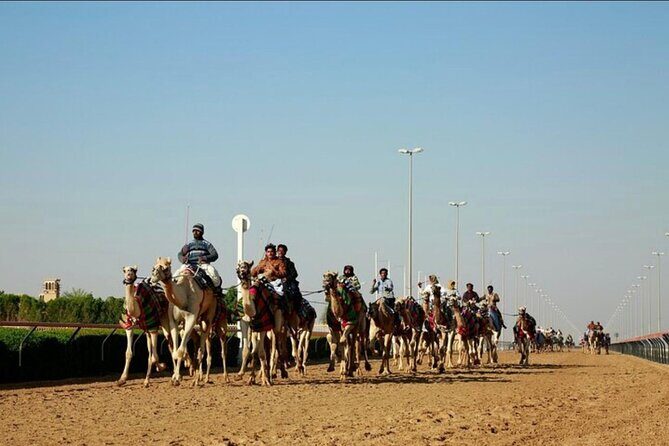 Doha: West Coast Tour Sculpture,Camel Racing Track Rock Formation - Why Choose This Tour?