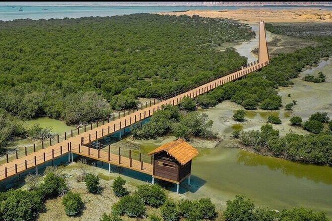 Doha Zubara Fort, Purple Island and Mangrove Exploration - A Well-Balanced Itinerary: What You Can Expect