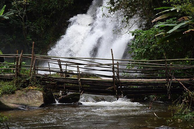 Doi Inthanon at afternoon and Hiking - Who Would Love This Tour?