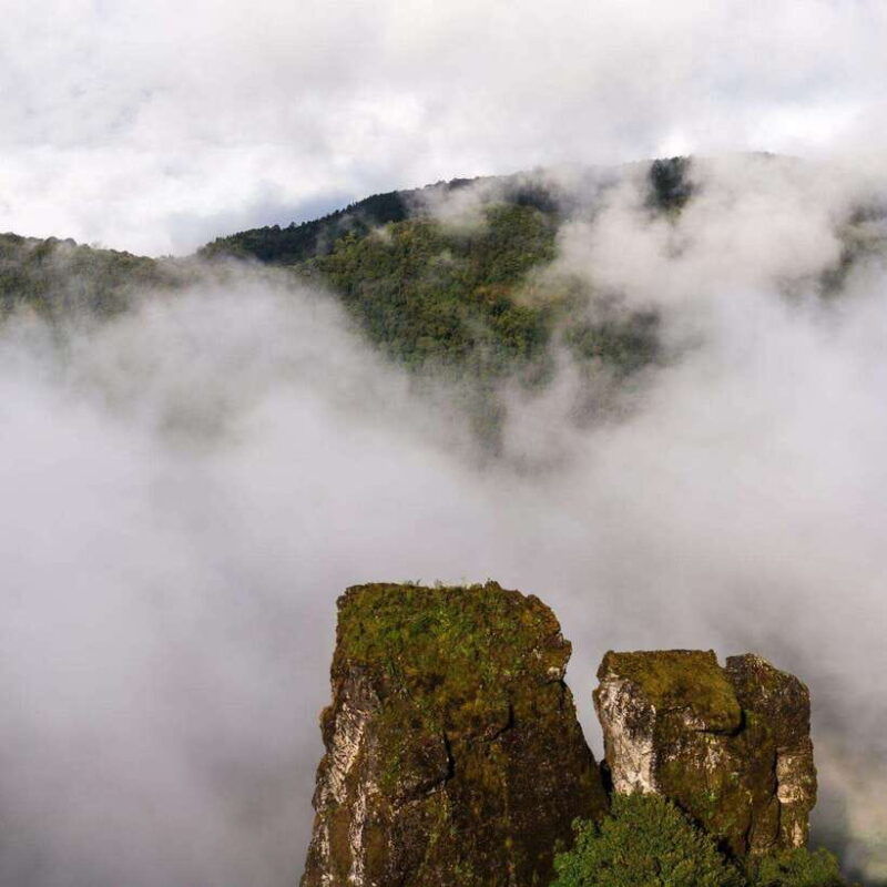 doi-inthanon-kew-mae-pan-viewpoint-trekking-day-tour