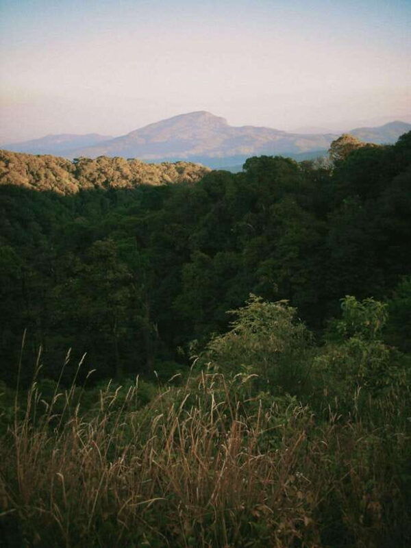 doi-inthanon-kew-mae-pan-viewpoint-trekking-day-tour
