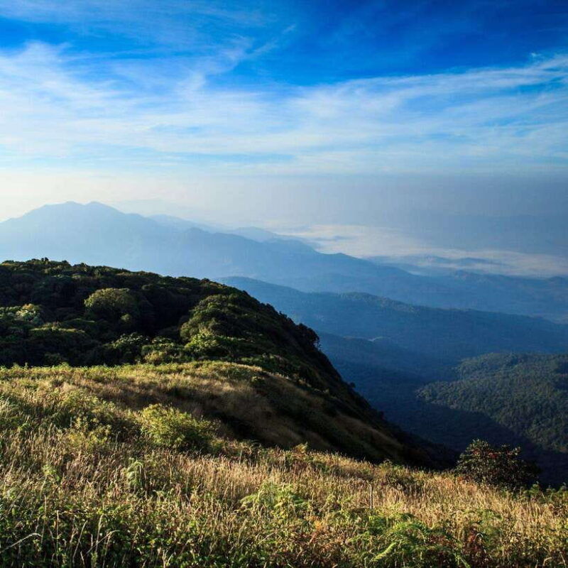 doi-inthanon-kew-mae-pan-viewpoint-trekking-day-tour