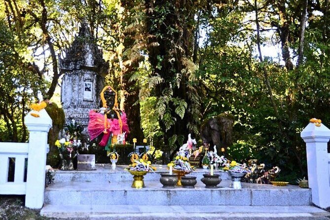 Doi Inthanon National Park and Hike Pha Dok Siew Nature Trail - Final Thoughts: Who Will Love This Tour?