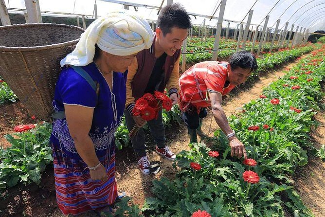 Doi Inthanon National Park Full Day Tour from Chiang Mai - Final Thoughts