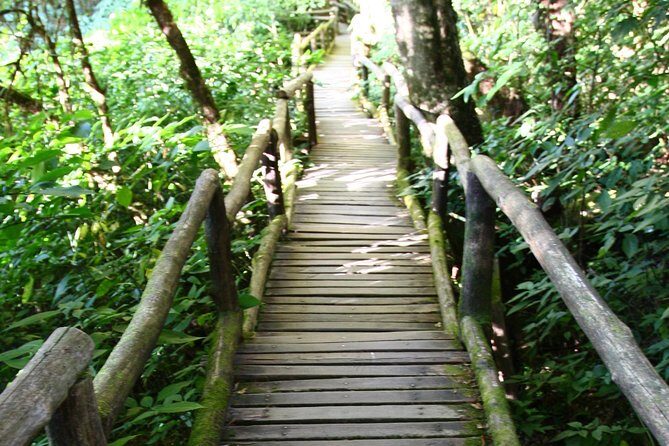 Doi Inthanon National Park including Lunch from Chiang Mai - The Overall Experience: Pros and Cons