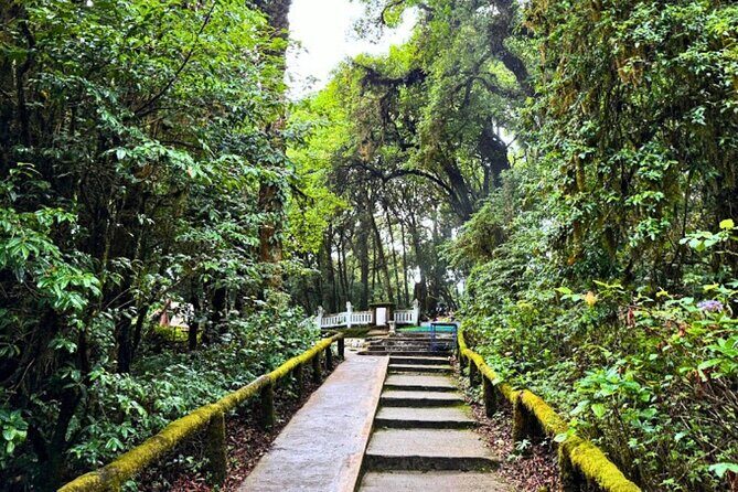 Doi Inthanon Scenic Explorer Waterfalls, Pagodas and Hill Tribes - Practical Details and Tips