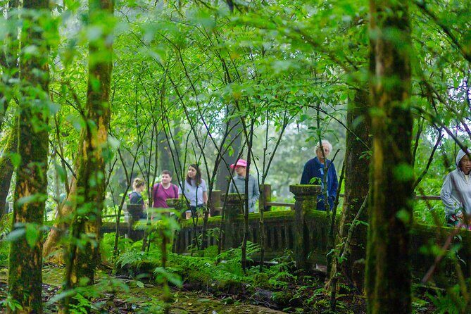 Doi Inthanon Waterfalls Rice Fields Tour from Chiang Mai - Who Should Book This Tour?