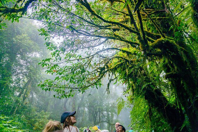 Doi Inthanon Waterfalls Rice Fields Tour from Chiang Mai - Final Thoughts