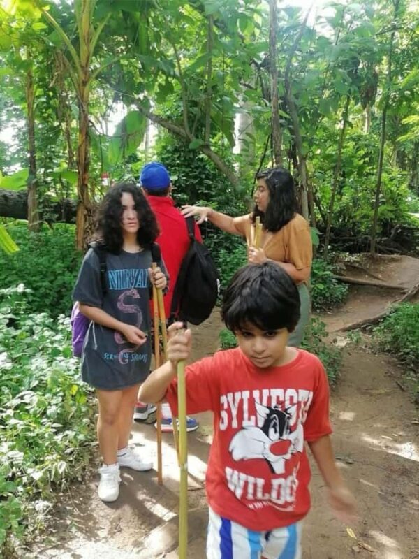 Doi Suthep Nature Interpretation Walk & Hidden Waterfalls - Exploring the Doi Suthep Nature Interpretation Walk & Hidden Waterfalls