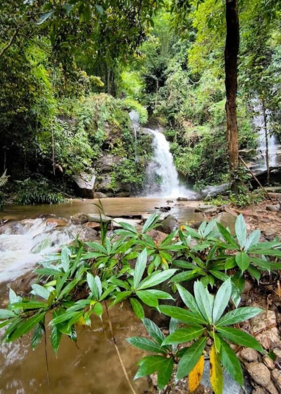 Doi Suthep Nature Interpretation Walk & Hidden Waterfalls - Practical Details That Matter