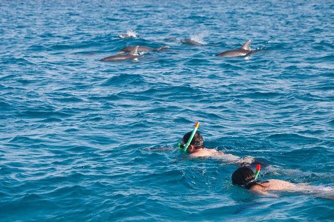 Doiphin Trip With Banana Boat vip - Dive into the Details of the Dolphin Trip with Banana Boat VIP in Hurghada