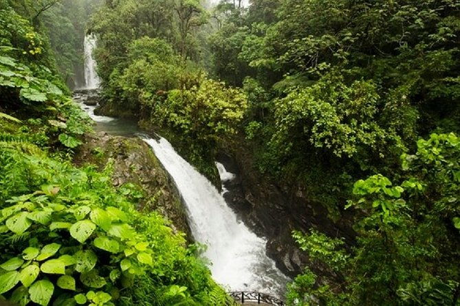doka-cafe-poas-volcano-and-la-paz-waterfall-garden