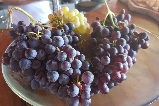 DOLCEACQUA & THE NERVIA VALLEY - The home of Rossese wine and Monet's beloved bridge - FAQ