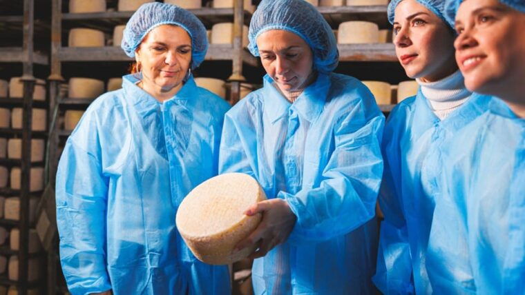 dolianova-visit-and-workshop-in-a-cheese-factory