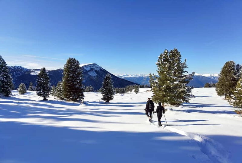 Dolomites of Cortina: Winter Hiking & Sledding Experience - An In-Depth Look at the Dolomites Winter Hiking & Sledding Tour  