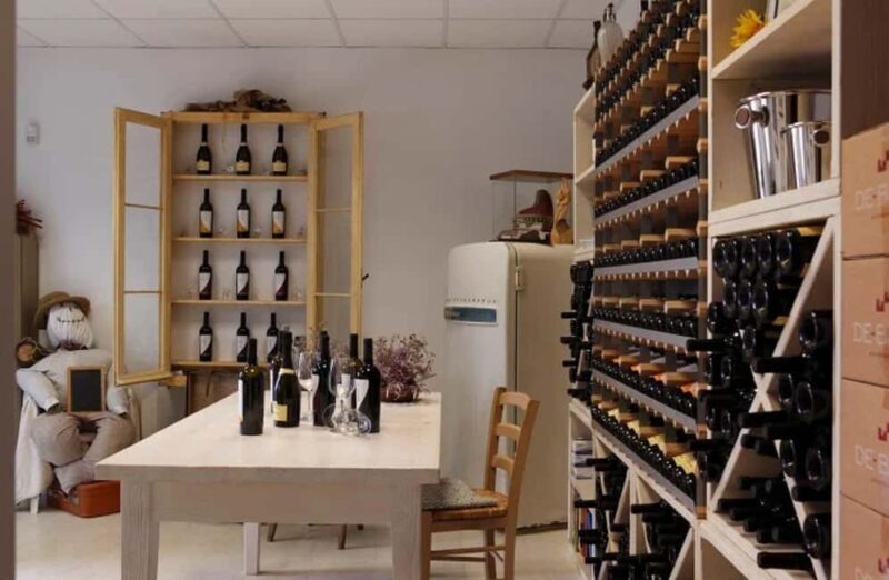 Dolomites Winery Tour and Wine Tasting near Belluno - Who Will Love This Tour?