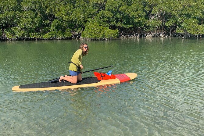dolphin-and-manatee-adventure-tour-of-naples-with-florida-history