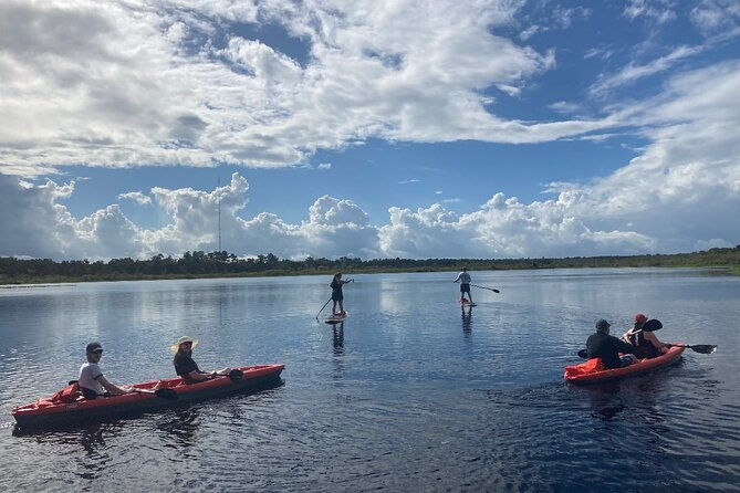 dolphin-and-manatee-adventure-tour-of-osprey-with-florida-history