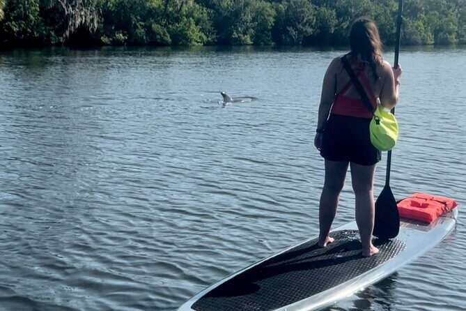 Dolphin and Manatee Kayak and SUP Adventure Tour of Cocoa Beach - A Closer Look at the Tour Experience