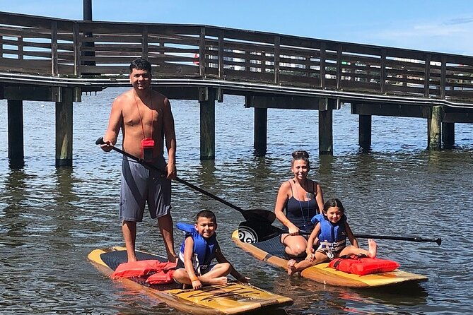 dolphin-and-manatee-stand-up-paddleboard-tour-in-daytona-beach
