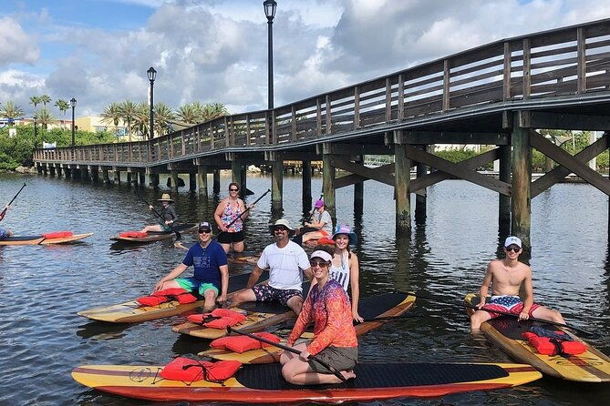 dolphin-and-manatee-stand-up-paddleboard-tour-in-daytona-beach