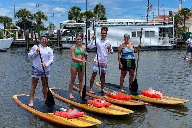 dolphin-and-manatee-stand-up-paddleboard-tour-in-daytona-beach