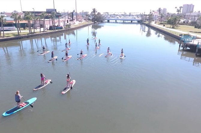 dolphin-and-manatee-stand-up-paddleboard-tour-in-daytona-beach