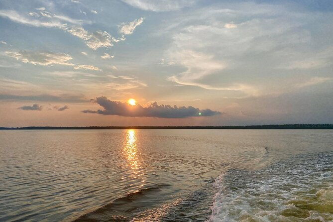 dolphin-and-nature-sunset-cruise-from-orange-beach