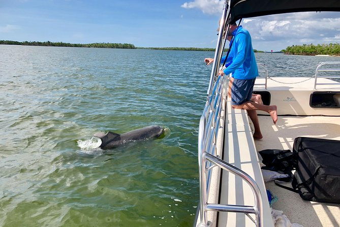 dolphin-and-shelling-cruise-for-up-to-12-people