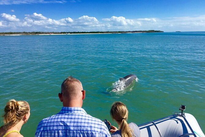 dolphin-and-shelling-cruise-for-up-to-12-people