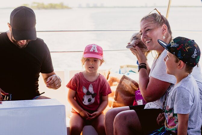dolphin-and-shelling-cruise-tour-at-fort-myers-beach