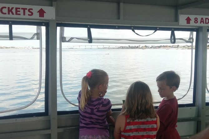 dolphin-and-wildlife-adventure-of-st-augustine
