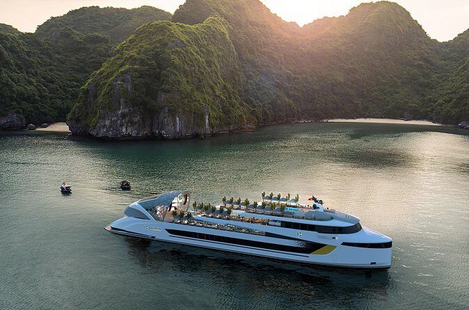 Dolphin Cruise  Experience Halong Bay in Timeless Luxury - Who Should Book This Tour?